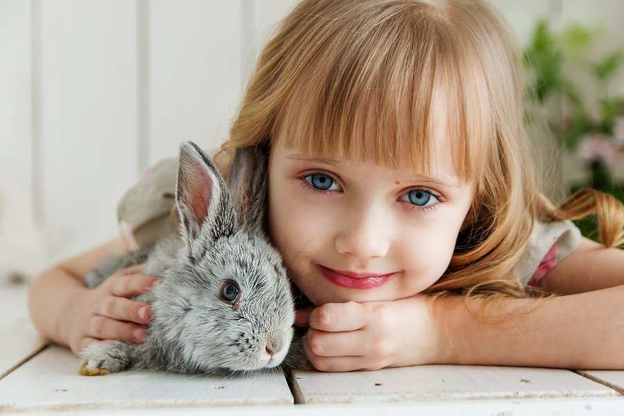 Una niña de pelo rubio y ojos azules está tumbada sobre una superficie de madera blanca, sonriendo y abrazando suavemente a un pequeño conejo gris que tiene a su lado, captando un dulce momento de custodia mascotas.