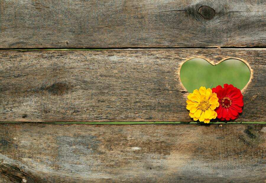 Dos flores, una amarilla y otra roja, descansan junto a un recorte en forma de corazón en una plancha de madera desgastada, simbolizando lazos duraderos como la pensión de viudedad en parejas de hecho. A través de la abertura en forma de corazón se ve hierba verde. Dos flores, una amarilla y otra roja, descansan junto a un recorte en forma de corazón en una plancha de madera desgastada, simbolizando lazos duraderos como la pensión de viudedad en parejas de hecho. A través de la abertura en forma de corazón se ve hierba verde.