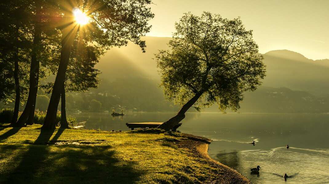 Una tranquila escena lacustre al amanecer, con la luz del sol colándose entre los árboles y proyectando sombras sobre la hierba. Cerca, un árbol se inclina sobre el agua -como el suave fluir de una sucesión intestada- mientras los patos nadan a su lado y al fondo se alzan colinas neblinosas. Una tranquila escena lacustre al amanecer, con la luz del sol colándose entre los árboles y proyectando sombras sobre la hierba. Cerca, un árbol se inclina sobre el agua -como el suave fluir de una sucesión intestada- mientras los patos nadan a su lado y al fondo se alzan colinas neblinosas.