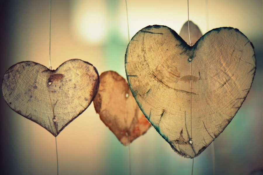 Tres piezas de madera en forma de corazón cuelgan de finas cuerdas, cada una con vetas de madera natural visibles y suaves tonos marrones: un apacible contraste con el tema del internamiento no voluntario. El fondo difuminado y neutro da un aspecto cálido y amable.