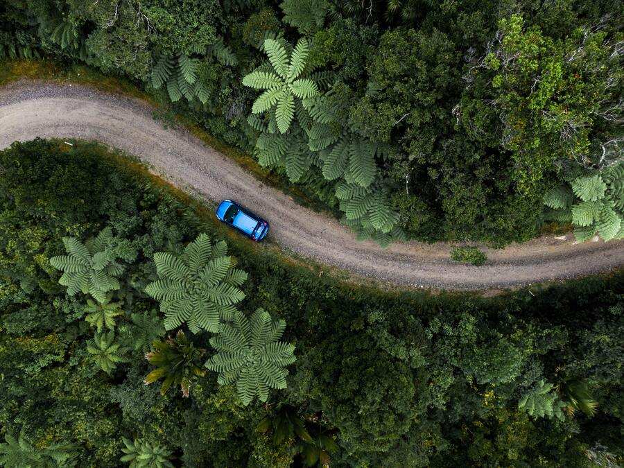 Un coche azul circula por un sinuoso camino de grava bordeado por un denso bosque verde, visto desde arriba. Grandes helechos y árboles enmarcan estrechamente el camino, dejando que uno se pregunte, ¿quién se queda el coche tras el divorcio?.