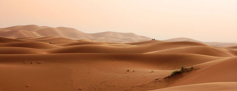 Las dunas de arena se extienden por un paisaje desértico bajo un cielo pálido, con algunas pequeñas manchas de vegetación dispersas en primer plano -evocando el aislamiento del síndrome de alienación parental-, mientras dos figuras lejanas aparecen en el horizonte.