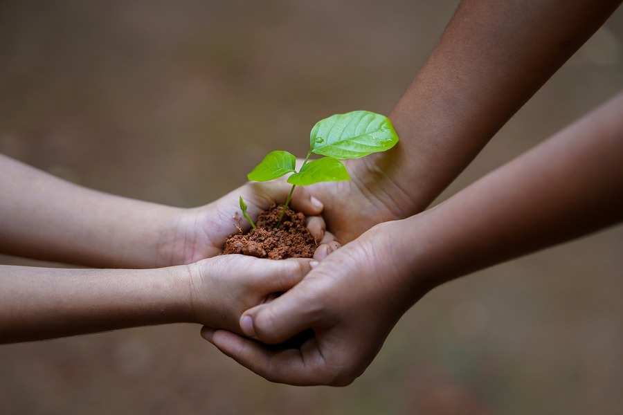 Dos pares de manos sostienen tierra de la que brota un pequeño plantón verde, símbolo de crecimiento y nuevos comienzos -al igual que la promesa de los pactos sucesorios- sobre un fondo borroso al aire libre.