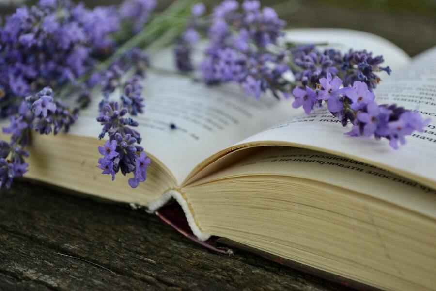 Un libro abierto descansa sobre una superficie de madera con ramitos de flores de lavanda esparcidos por sus páginas. El texto, parcialmente visible, insinúa temas como RENUNCIA HERENCIA, aunque los detalles permanecen ilegibles.