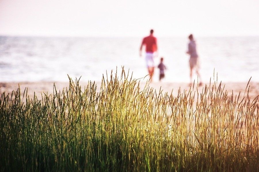 Hierba alta enfocada en primer plano con tres personas -dos adultos y un niño- paseando por una playa de arena cerca del agua en el fondo difuminado, evocando una sensación de herencia y legado transmitida de generación en generación. Hierba alta enfocada en primer plano con tres personas -dos adultos y un niño- paseando por una playa de arena cerca del agua en el fondo difuminado, evocando una sensación de herencia y legado transmitida de generación en generación.